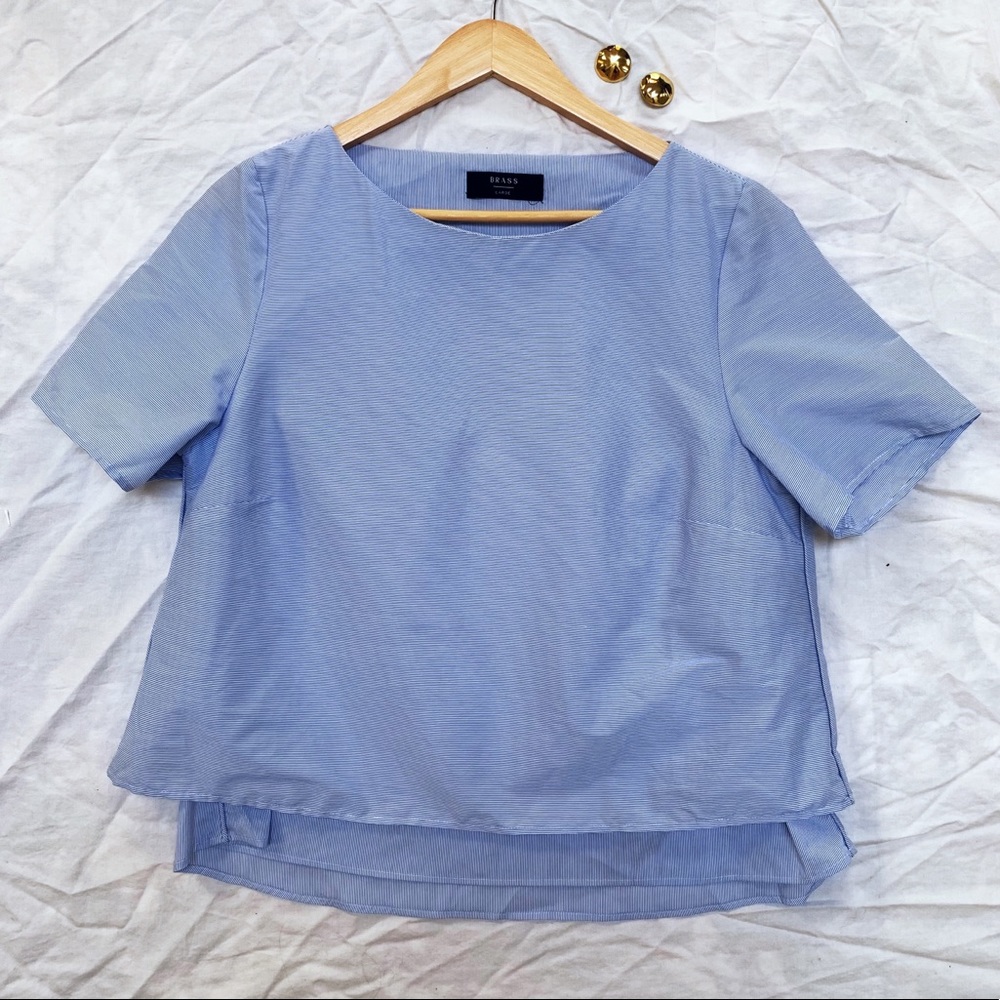 Brass striped blue blouse